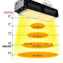 f8fff00ff003f1c1dff9fbfbd91bfb0bfbfbf803f3f9f401fc07fffff801ffff