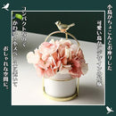 000000000000000030003fc00ffe3ffe3f9e3fde7ffe7ffe7fc07f803ff00000