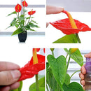 f7ffeffffbffcfe7c381c7e1e7e3ffc3fffffdb3f800300c010c00040c000800