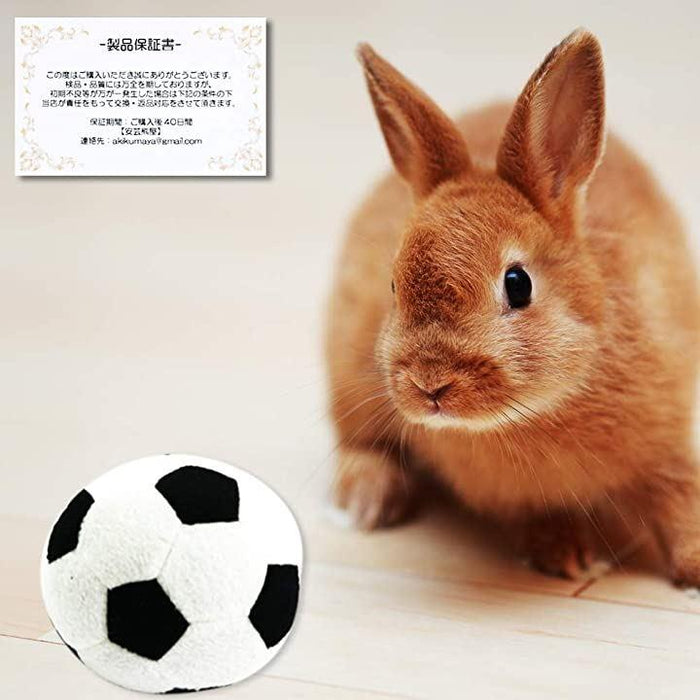 うさぎ おもちゃ 転がす やわらか ボール 2個セット