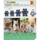 ffffd3fd982fffffffc8d0ce976dffff14870686048517972507640700106000