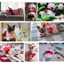 7fff7e8d7a80823c001affff8aecc8c08860acc38fb3efda1f7c9ae1366f96f6