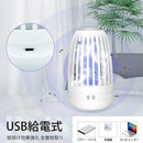 ff40ff40ff60cf00ff70fff8fff8ff58ff30fb50e0f8fbd8fff7fffdf3fefffe