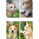 ffff07e0bbd06bf03cf040cc408080e0ffff108880841c9f3c8f36ff2e91e49d