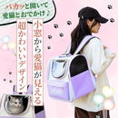 ffff8ff7b3e3c5e1ffc3fbcffbdfff8ffbcefbcffb99ebcbebfbc7e783fdc9ed