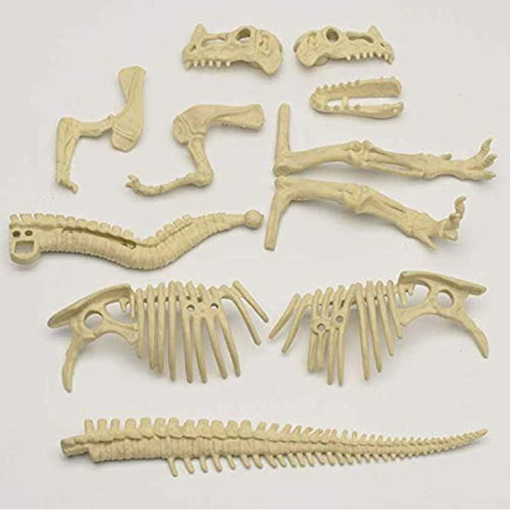 恐竜発掘キット「ステゴサウルス」　骨格標本　フィギュア