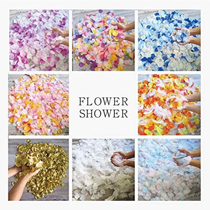 fffff7318031e0118001eff1ffe3b7e1c7e987e187fd8799871986018001ffbf