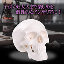 f2ff000000000000078407c00fe01ff09ff8dff01ff00fe00ff001f001f00000