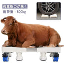 ffffffc080c6ebc8ffde87c9c1ffc0078001e000e000c001fe3fcff18ff9dffd