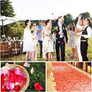 ffffffffffff1fff1ffce4130680bfcc0ec800c2e4c0d0c094c380cfffffffff