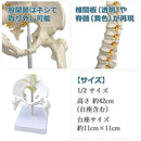 ffffa0b1848588ffd5f3b0f384f3fef7fffff7bfc7ffefffc7ffe3fffffff3ff