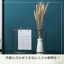 80008000802080208020804080008000870087000720872087208e20ffffffff