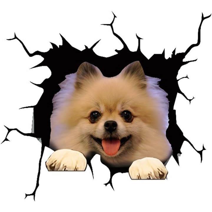 ffffffffffffff7fff9ff807f807f807f007f007f007f607f9afffffffffffff