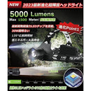 00002ffe780000000008001f00595a3e7ff01e000c0807fb3ff81fea00070005