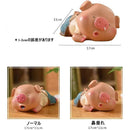 ffffffc7ff83ff03ff03ffb7ffffffff818181018101810180818181ffefffff