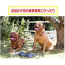 ffffffffffff4005000000401000123c031c039c010c00080108100190ffffff