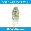 00002e2effffffffff3ffe3ffe3ffe3ffe3ffe3ffe3ffe3fffffffffffff0650