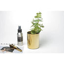 ffffffdfff9fffffffbfffbffbaffb9ffa3ffe3ffa07fa07fa07da0f073f03ff