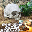 b001fe22bfc0ffc0ffc0bfc0bc003c803f800080707ff97e7bec1fc63cc3fac1