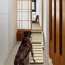 ff70fff2ff70fff2ffb0ff70fff0f0f0f0f0f0f0e0f0e0f0f0f0f0f0e0f0e038