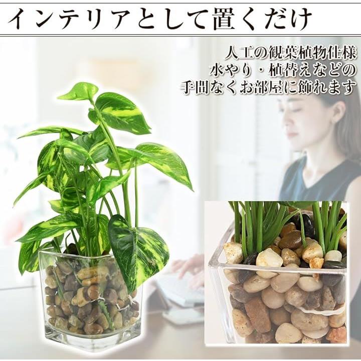 フェイクグリーン インテリア植物 造花 お世話要らず 枯れない ガラス