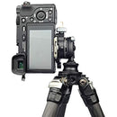 ffff80ffcaff8cff80ff8e7f8e5fcc1f801f800f800fdf8bfe91fe31fe39fc38