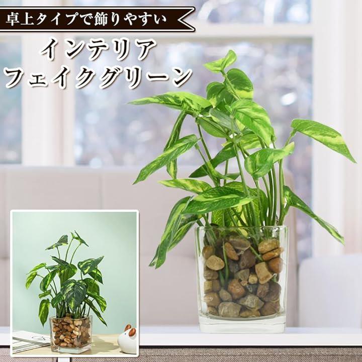 フェイクグリーン インテリア植物 造花 お世話要らず 枯れない ガラス