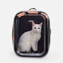 fffffffffffff00fe00fe007e007e007e007e307e307e207e007f00ff81fffff