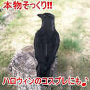 ffff3fbf7fff7e3f7f3fff3ffe1ffe17fc01da013c071602000008004e103f84