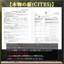 00000100fffefffefffefffefffefffe7ffe7ffe7ffe40020000000000000000