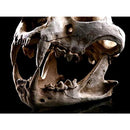 07dc277e3f3f370f47cf040004000c08061806183e782ff829fc0ff800000000