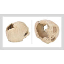 fffffffffebffc7ffe7dbe7ffe7ffe7fbe7fbe7fbefdbebdfedffee7ffffffff