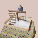 ffffffffffffffbfff3ffc0ffcfffa1ff77fe7e1f7f9d3f9c119800180000001