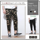 ffe0ffe0ffe0c1e0c1e0c1e0c1ffc1fbe1f3e1f3e1f3e1f1e5f5ec77e071fff3