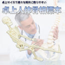 ffffb86f8280fbf7f0ffb07fc87fe03dea79e079f35ff19ff893fe72febff8c5