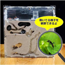 ffff8000a04cc040801cb055a8ff83fce1e0fec8ffc0ffc0ffc0ff65924effff