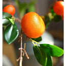 01c0306170e075e0d7e4dbe01bf029f029f8e4dc84bce5c4e501e580f504f404