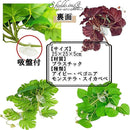 ffff81e1802181e09cc59ee3dfcffefffffffeeff1fbe1c187c1e5c285c4a7cf