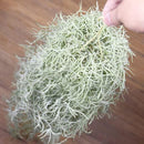 000f204f09bf0f7b0ffe06d21f7a39fe3db63bbc309814c036c0052001c00780