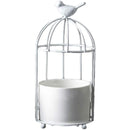 fefffe3ffe7ff85ff98ff00ff60ff7eff7eff8eff00ff60ff20ff20ff00ffb1f