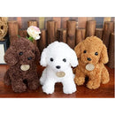 ffffffff42dd00000c40040081c281f683e103e001e203e001600360ffffffff