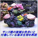 0000e7803780184082000000305c30df0001c003e003f067ffffff7fffffffff