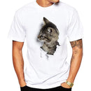 fc1ffe5fffffffffff3ffe1ffe1ffc1ece0ccf3ccefccff0cff9cff9eff3eff3