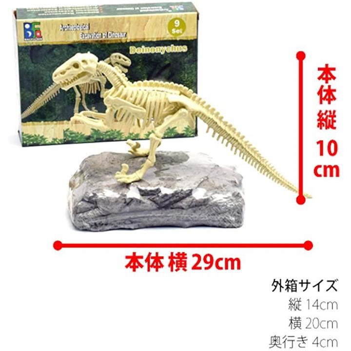 恐竜ラプトル ヴェロキラプトル 小型肉食きょうりゅう 化石発掘セット