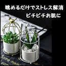 00007e6e0000c0bcf800ff00ffc0ffe0ffc0ef00fc80fec0f7c0c78067801000