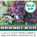 b80ca41ee01fe41fe00ec0008100d900080008000000ffdf0000ffffffffffff