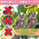 ffffffffff05f3106700c599d860804482c78262b463a860edffe613e5ddfc04