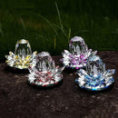 00000000000000000000307030707efc7ffc3fbf3fbf073e0000000000010000