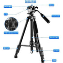 fffffebfcf3fff3fdf6ce637c63fce3fff3ffd3ffd3fff1fdb1ffbccffefffed