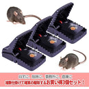 fffffff3cfc7c687f643fc00f000e001c00f800f8033e0e1f9f7fffffffffa43